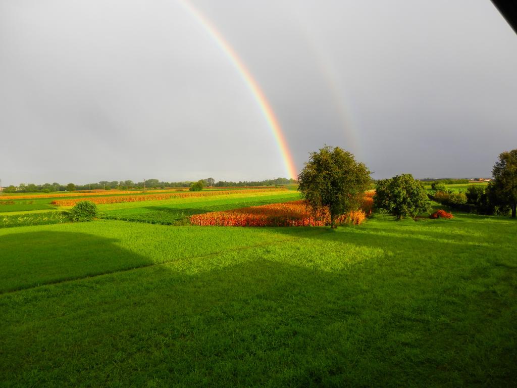 Agriturismo Cjargnei Povoletto Экстерьер фото